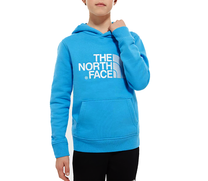 north face drew peak hoodie blue